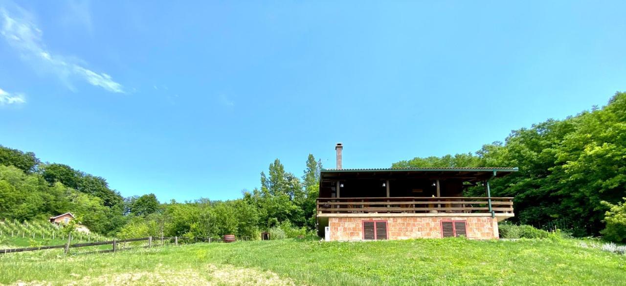 House Dorota Holiday home